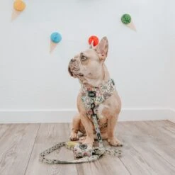 Dog Waste Bag Holder - Raise The Woof -Furfinity Cheap Shop INDIE PITTIE 3 063d8651 6800 4073 a412 cc79ec659e7d