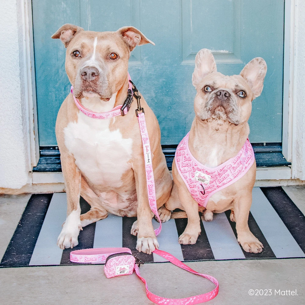 Dog Four Piece Bundle - BARBIE™ Malibu 14 Dog Four Piece Bundle - BARBIE™ Malibu - Image 12