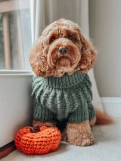 Dog Cable Knit Sweater - Dark Green -Furfinity Cheap Shop INDY THECOCKAPOO e402a3e9 aff7 48a0 9a4f 67989fe54b71