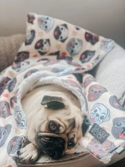 Pet Blanket - It's A Pug's Life -Furfinity Cheap Shop INFLUENCER CONTENT PUGNAMEDPANCAKE 1of1