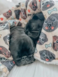 Pet Blanket - It's A Pug's Life -Furfinity Cheap Shop INFLUENCER CONTENT THEDISTRACTEDDOGMOM 1of1