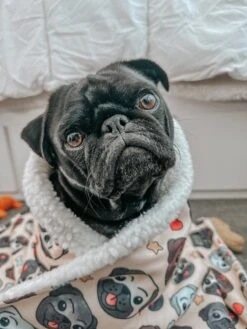Pet Blanket - It's A Pug's Life -Furfinity Cheap Shop INFLUENCER CONTENT THEDISTRACTEDDOGMOM 1of2