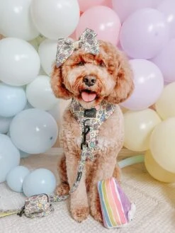 Dog Four Piece Bundle - Raise The Woof -Furfinity Cheap Shop ITSMEWILLOW f8c297af c7d4 4824 8145 b3eb5abb7e0a