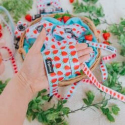 Dog Leash- I Woof You Berry Much -Furfinity Cheap Shop IWoofYouBerryMuch Product Photos 1