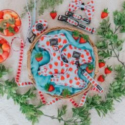 Dog Four Piece Bundle - I Woof You Berry Much -Furfinity Cheap Shop IWoofYouBerryMuch Product Photos 2