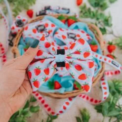 Dog Sailor Bow - I Woof You Berry Much -Furfinity Cheap Shop IWoofYouBerryMuch Product Photos 4