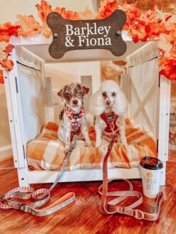 Dog Four Piece Bundle - Teddy -Furfinity Cheap Shop I AM THEBARKMAN3