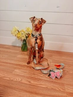 Potty Pal - Pink Bow -Furfinity Cheap Shop JADE THE MINPIN 2