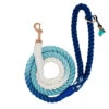 Dog Rope Leash - Disney's Jasmine -Furfinity Cheap Shop JASMINE ROPE LEASH FINAL