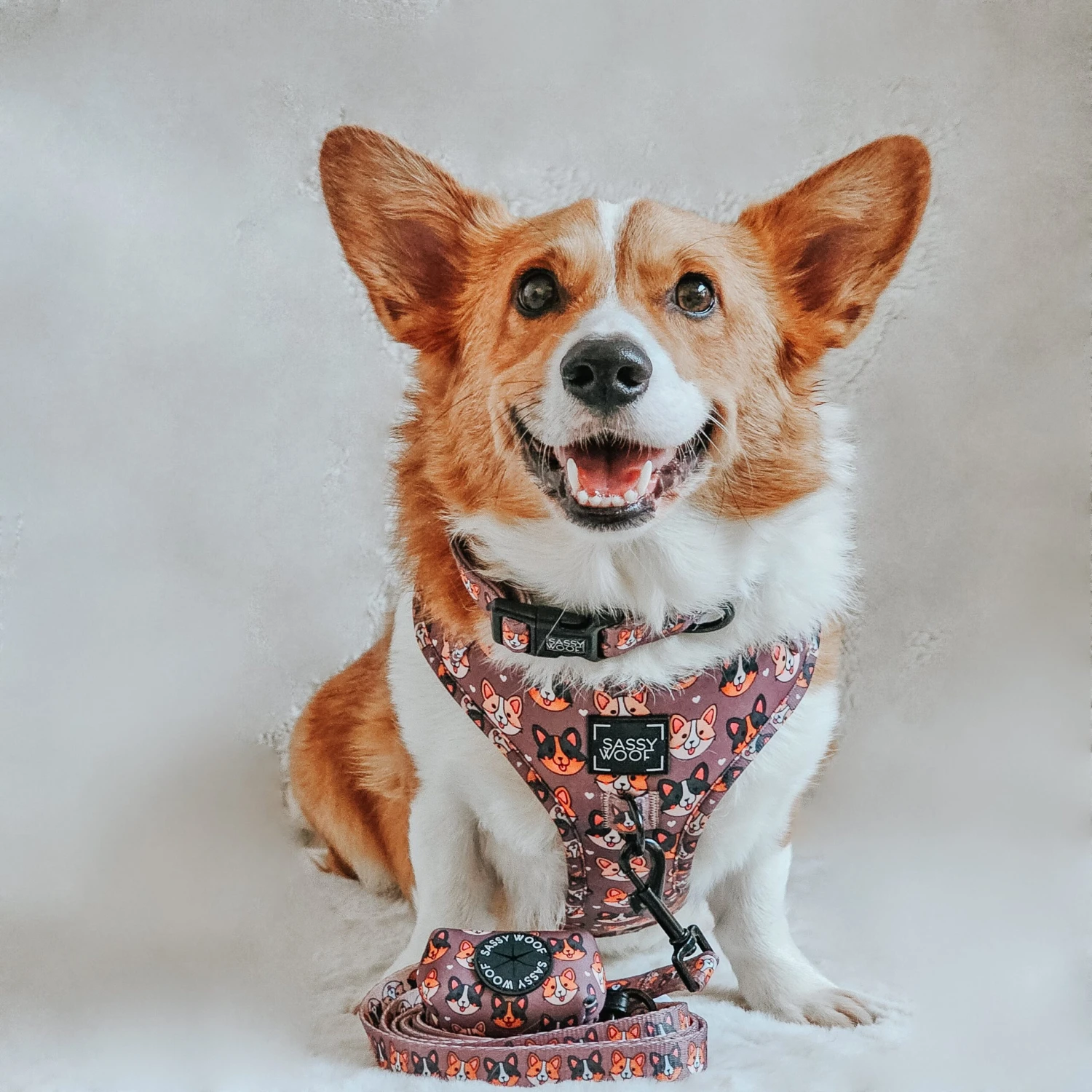 Dog Collar - Cuddly Corgis 9 Dog Collar - Cuddly Corgis - Image 7