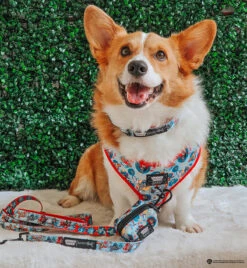 Dog Waste Bag Holder - Looney Tunes™ Blue -Furfinity Cheap Shop KAI ACORGISLIFE 5dc50bbe 1820 4db5 bc23 4bef85fd586e