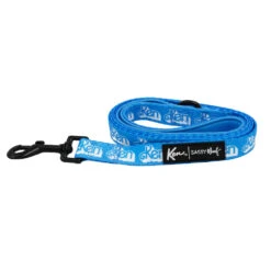 Dog Two Piece Bundle - KEN™ -Furfinity Cheap Shop KEN LEASH 3 e65b4367 9a3a 44d5 aaf5 650eb988d43c