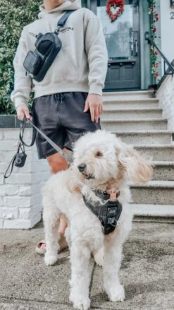 Dog Parent Bag - Strap Only -Furfinity Cheap Shop KISSESBYKIKO 2