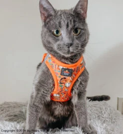 Cat Step-In Harness - Garfield™️ -Furfinity Cheap Shop KITTY KOVU 2