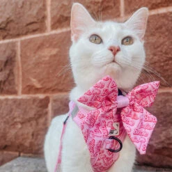 Cat Leash - BARBIE™ Malibu -Furfinity Cheap Shop KITTY KOVU