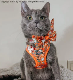 Cat Bundle - Garfield™ 19 Cat Bundle - Garfield™ -Furfinity Cheap Shop KITTY KOVU 3