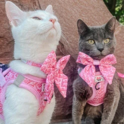 Cat Step-In Harness - BARBIE™ Malibu -Furfinity Cheap Shop KITTY KOVU 3 1b6d23ab d9c0 4dde 9130 ae457ff2bf95