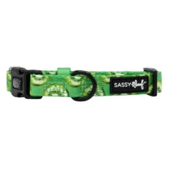Dog Collar - Kiwi Krazy -Furfinity Cheap Shop KIWI KRAZY COLLAR