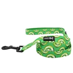Dog Four Piece Bundle - Kiwi Krazy -Furfinity Cheap Shop KIWI KRAZY LEASH