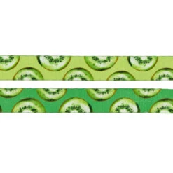 Dog Leash- Kiwi Krazy -Furfinity Cheap Shop KIWI KRAZY LEASH 3