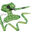 Dog Two Piece Bundle -Kiwi Krazy -Furfinity Cheap Shop KIWI KRAZY TWO PIECE