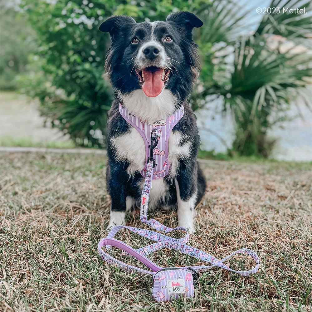 Dog Four Piece Bundle - BARBIE™ Closet Goals 17 Dog Four Piece Bundle - BARBIE™ Closet Goals - Image 15