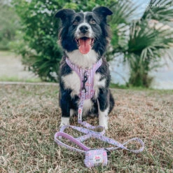 Dog Two Piece Bundle - BARBIE™ Closet Goals -Furfinity Cheap Shop KONA AND MEILI 1 9d8ec237 0320 4235 9426 55d15edc5153