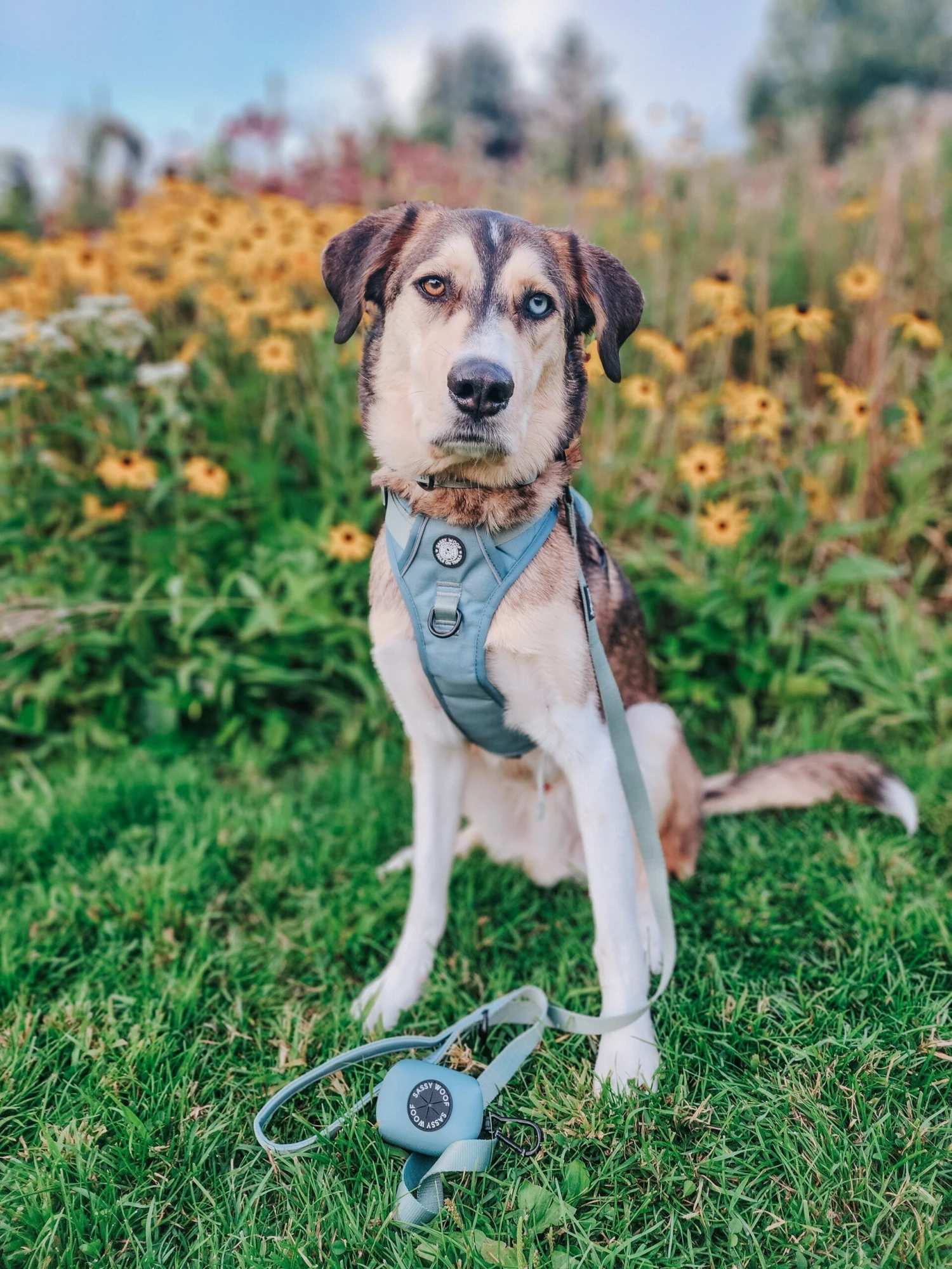 Dog Waste Bag Holder - Sage 6 Dog Waste Bag Holder - Sage - Image 4