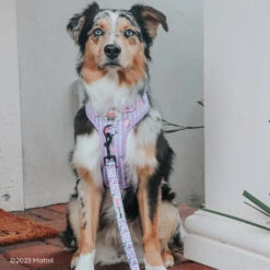 Dog Two Piece Bundle - BARBIE™ Closet Goals -Furfinity Cheap Shop KORATHEEXPLORINAUSS 521a25b9 5519 4127 ad81 578542c3b64b