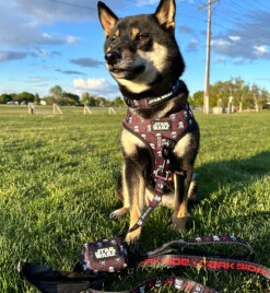 Dog Waste Bag Holder - STAR WARS™ The Dark Side -Furfinity Cheap Shop KORRASWEETBEAN 2 fe8226e1 acc0 4b6c aee5 e9f2ebe783be