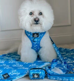 Dog Four Piece Bundle - KEN™ -Furfinity Cheap Shop KRISPYKREME2023 e5f013fc 608c 48ae b873 7559ce609cca