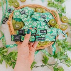 Dog Collar - Kiwi Krazy -Furfinity Cheap Shop Kiwi Krazy Product Photo 4
