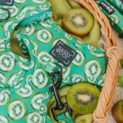 Dog Adjustable Harness - Kiwi Krazy -Furfinity Cheap Shop Kiwi Krazy Product Photo 5