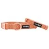 Dog Collar - Apple Cider 2 Dog Collar - Apple Cider -Furfinity Cheap Shop KohlsAppleCider