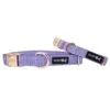 Dog Collar - Aurora -Furfinity Cheap Shop KohlsAurora