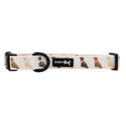 Dog Collar - Loyal Labradors -Furfinity Cheap Shop LABRADOR COLLAR