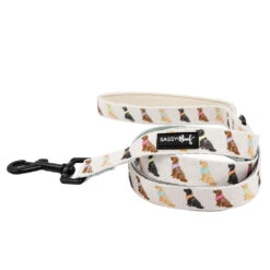 Dog Four Piece Bundle - Loyal Labradors -Furfinity Cheap Shop LABRADOR LEASH