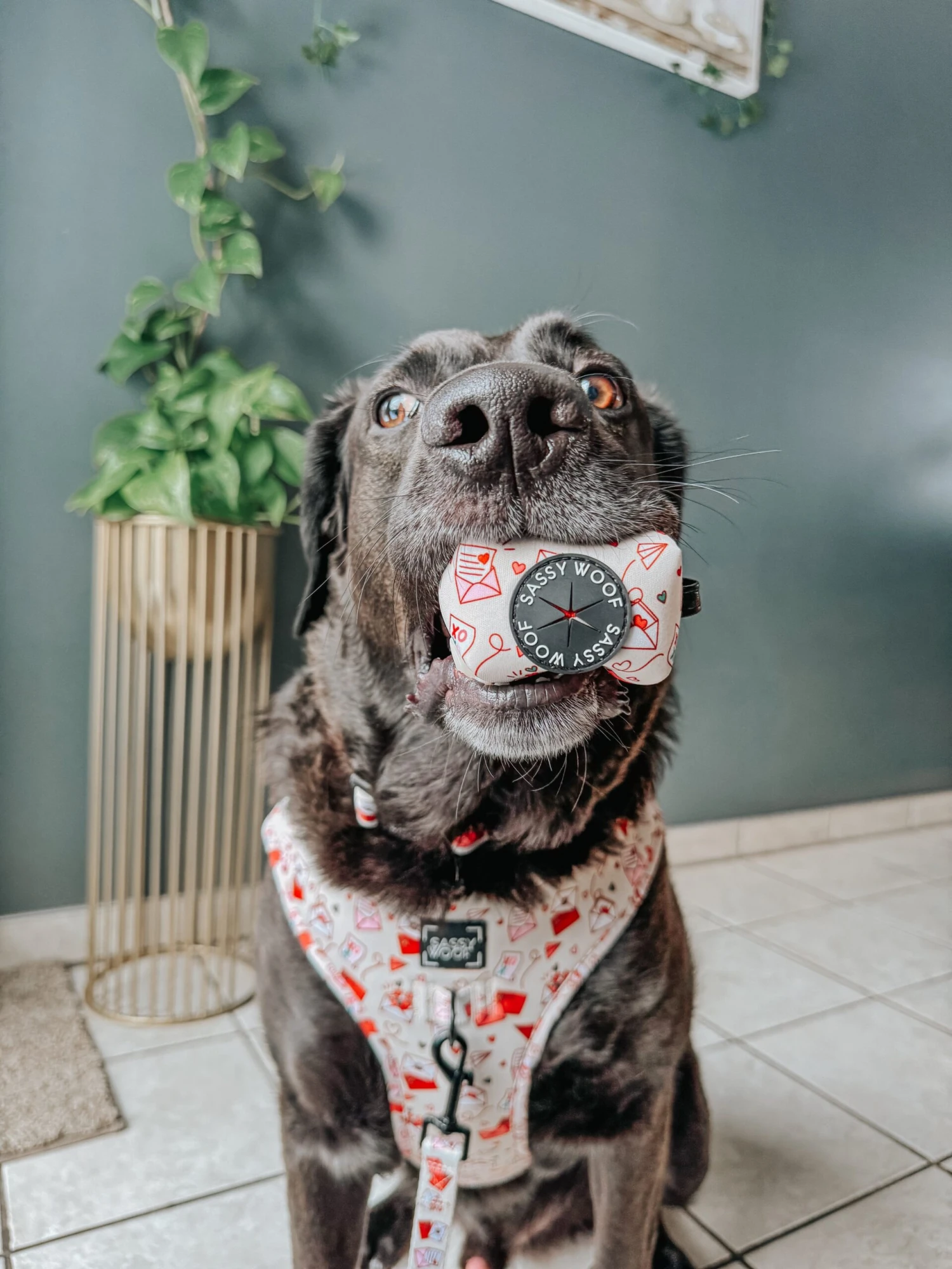 Dog Waste Bag Holder - P.S. I Woof You 6 Dog Waste Bag Holder - P.S. I Woof You - Image 4