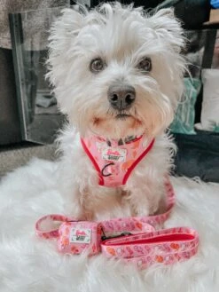 Dog Two Piece Bundle - Western Barbie™ -Furfinity Cheap Shop LACEY THE WESTIE 3 ad5c6ba4 f314 4e01 bb99 ef32da7086ee