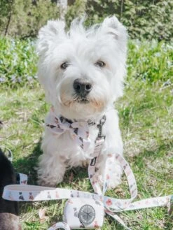 Dog Sailor Bow - Spunky Shih Tzus -Furfinity Cheap Shop LACEY THE WESTIE 4