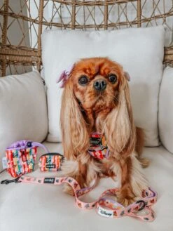 Treat Pouch - Disney's Bambi -Furfinity Cheap Shop LADYEMMAOFASHBURN 1 66243355 cc16 4f44 93ec 9516f91272d6