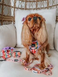 Dog Waste Bag Holder - Disney's Bambi -Furfinity Cheap Shop LADYEMMAOFASHBURN 2 0276c250 65e6 4b0c 94ac af5e84c05264 1