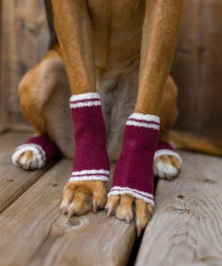 Dog Bundle - Infinity Scarf & Leg Warmers 24 Dog Bundle - Infinity Scarf & Leg Warmers -Furfinity Cheap Shop LASZLOTHEMUTT 2