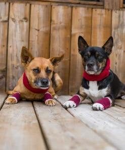 Human Infinity Scarf - Red 12 Human Infinity Scarf - Red -Furfinity Cheap Shop LASZLOTHEMUTT 3 35fee69b b968 4ed6 98d7 415fe8598284