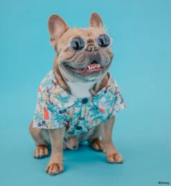 Dog Hawaiian Shirt - Mickey Mouse -Furfinity Cheap Shop LEOTHEFRENCHIE 1 2