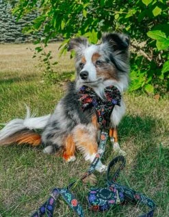 Dog Four Piece Bundle - Neon Frights -Furfinity Cheap Shop LEXI THE TOY AUSSIE 2021 4 b966b3b1 e3ab 4194 be3f bfd53586a4a9