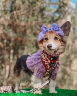 Dog Waste Bag Holder - Chocolate Milk -Furfinity Cheap Shop LIBERACE MINIPIG DIVADUDE 2 065f5d96 4a4d 49e1 b3f3 3a88c9e51fdd