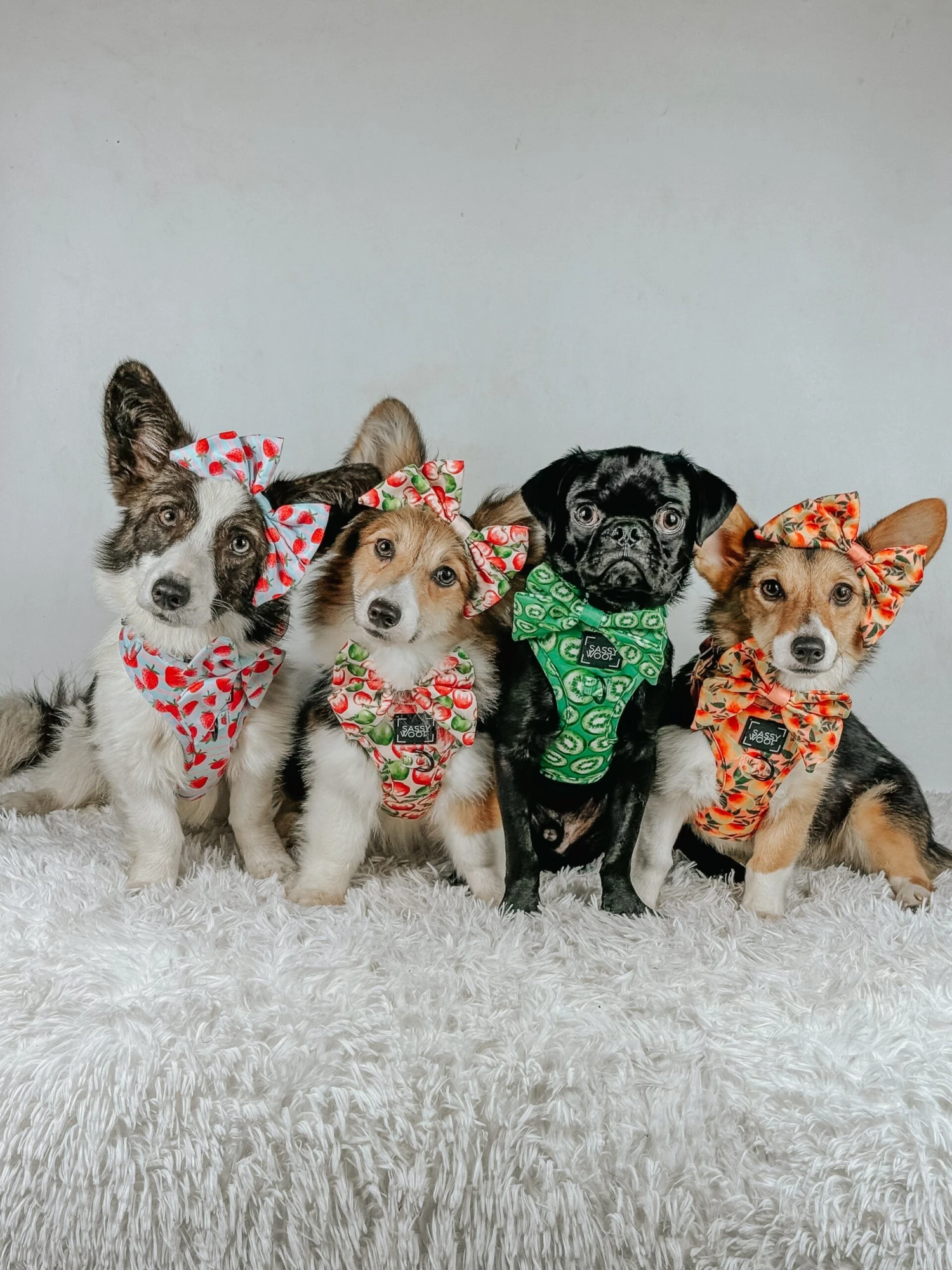 Dog Adjustable Harness - I Woof You Berry Much 8 Dog Adjustable Harness - I Woof You Berry Much - Image 6