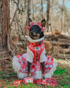 Dog Waste Bag Holder - Hello Kitty® Red Classic -Furfinity Cheap Shop LIBERACE MINIPIG DIVADUDE 2 be4f8df2 7987 47c4 96fc 7bcdf5cc4b6a