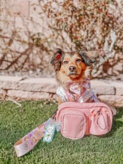 Dog Parent Bag - Strap Only -Furfinity Cheap Shop LIFE.AS .CHANEL 5